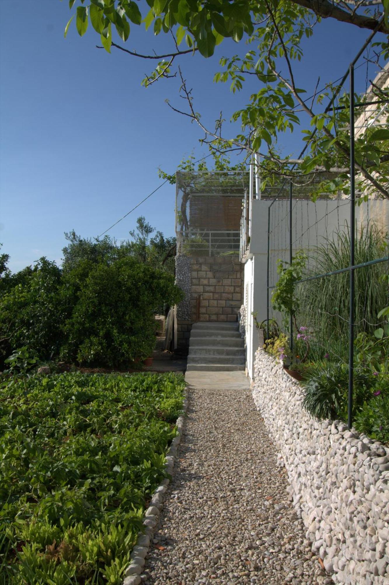 Apartments Cervelin Lopud Exterior photo